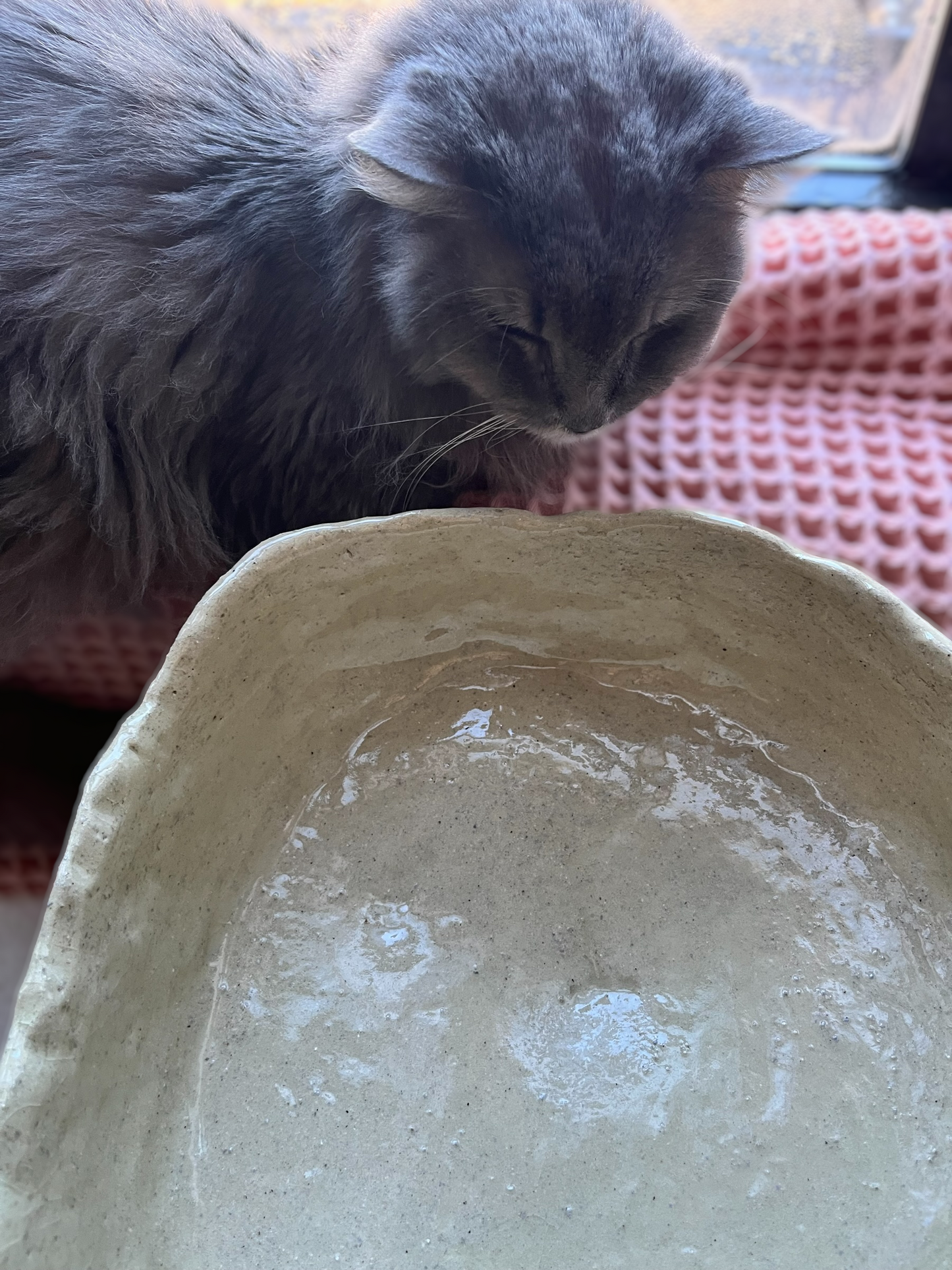 Big Fruit Bowl with Paw Prints